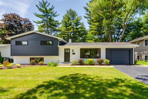 222 S Maple Street Palatine IL 60067