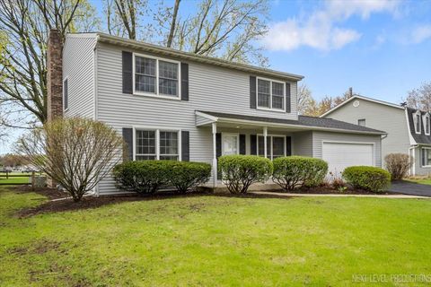 554 Carriage Hill Road Naperville IL 60565