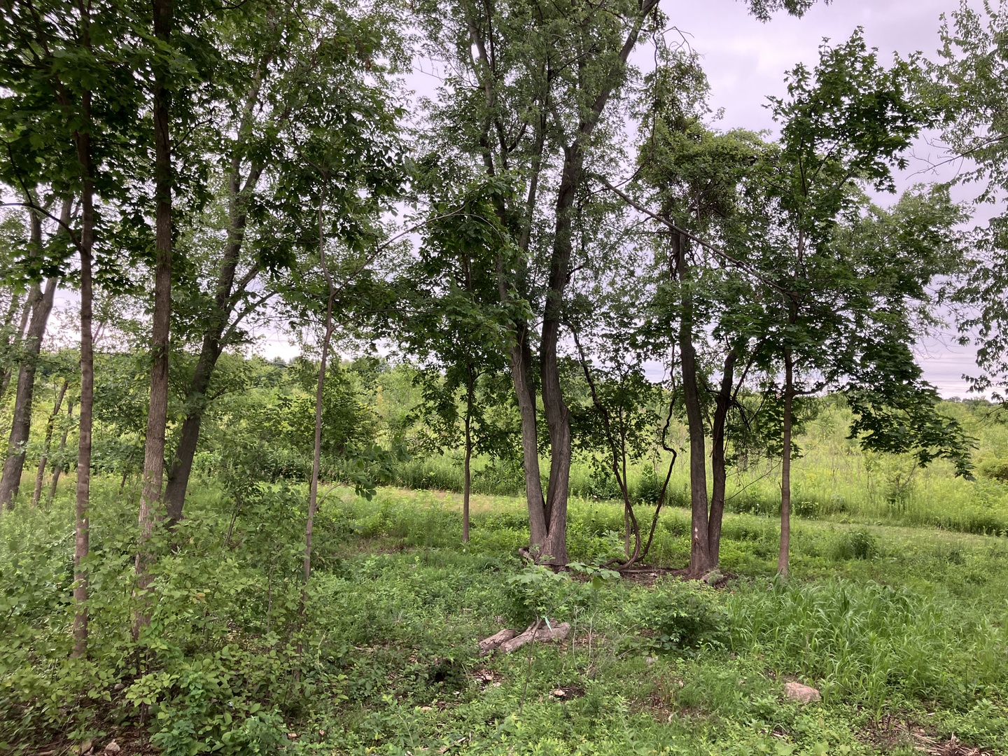 400 Tee Lane