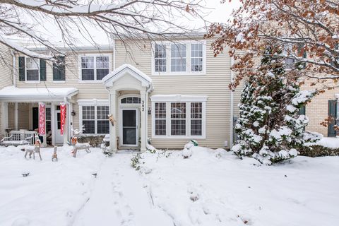 382 S Litchfield Drive Round Lake IL 60073