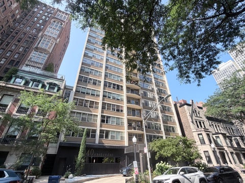 Photo of 40 E Cedar Street #11C, Chicago, IL 60611 (MLS # 12748504)