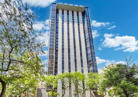 1310 N Ritchie Court 26B Chicago IL 60610