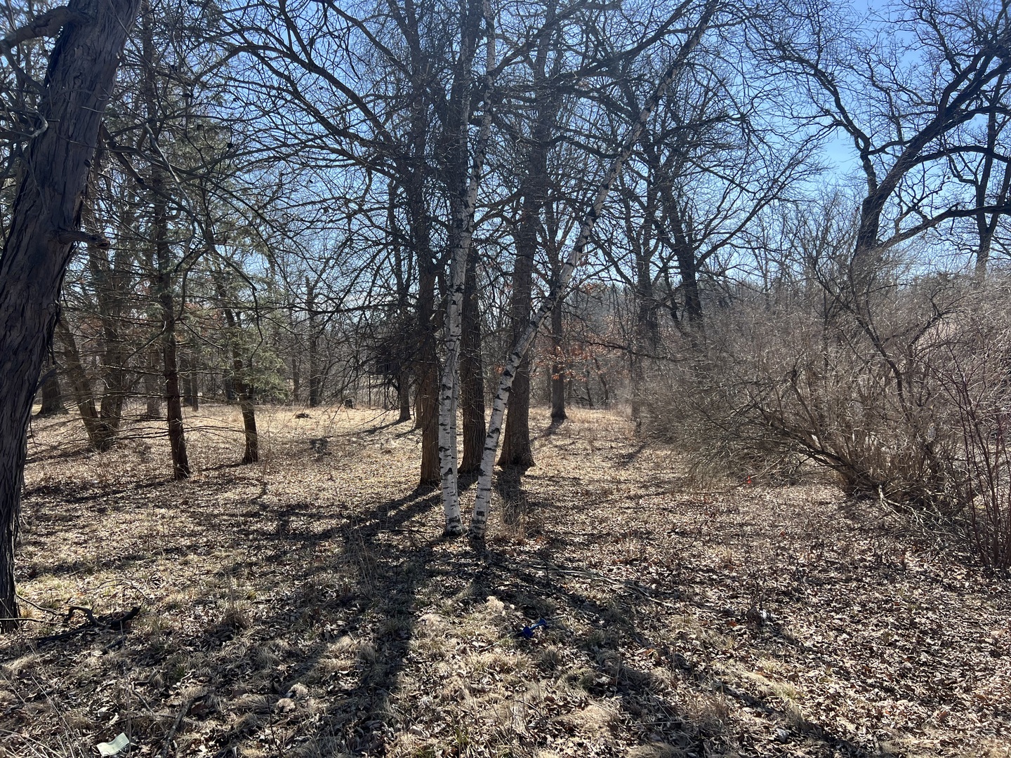16524 Grove Creek Circle - Photo 4