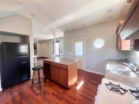 Tiny photo for 620 16TH Avenue, East Moline, IL 61244 (MLS # QC4261514)