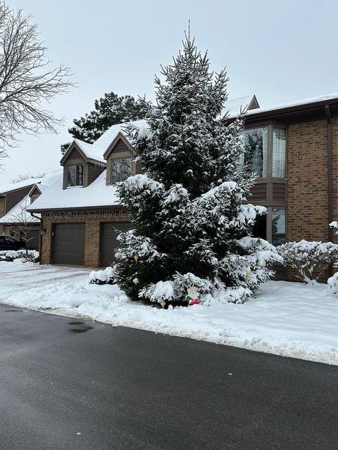 12 Queens Court Westchester IL 60154