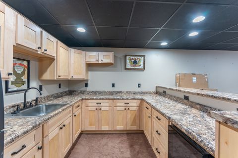 Tiny photo for 125 Old Bloomfield Road, Vienna, IL 62995 (MLS # 12552226)