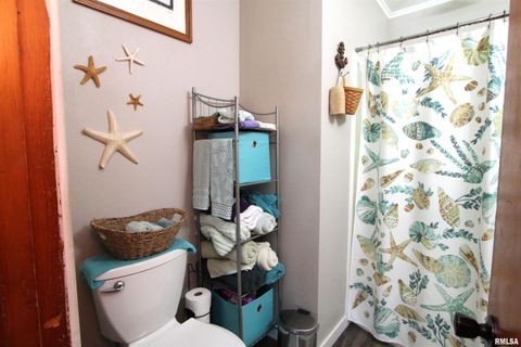 Tiny photo for 1330 FLORENCE Avenue, Clinton, IA 52732 (MLS # QC4267448)