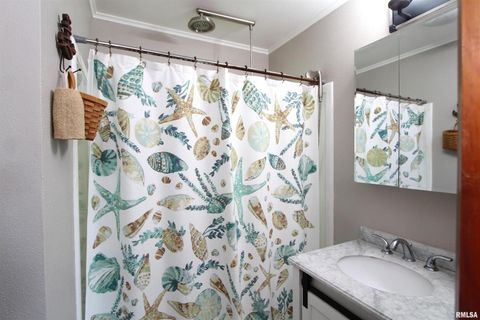 Tiny photo for 1330 FLORENCE Avenue, Clinton, IA 52732 (MLS # QC4267448)