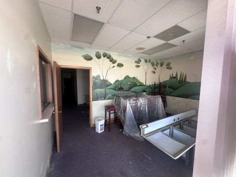 207 S Rand Road Lake Zurich IL 60047
