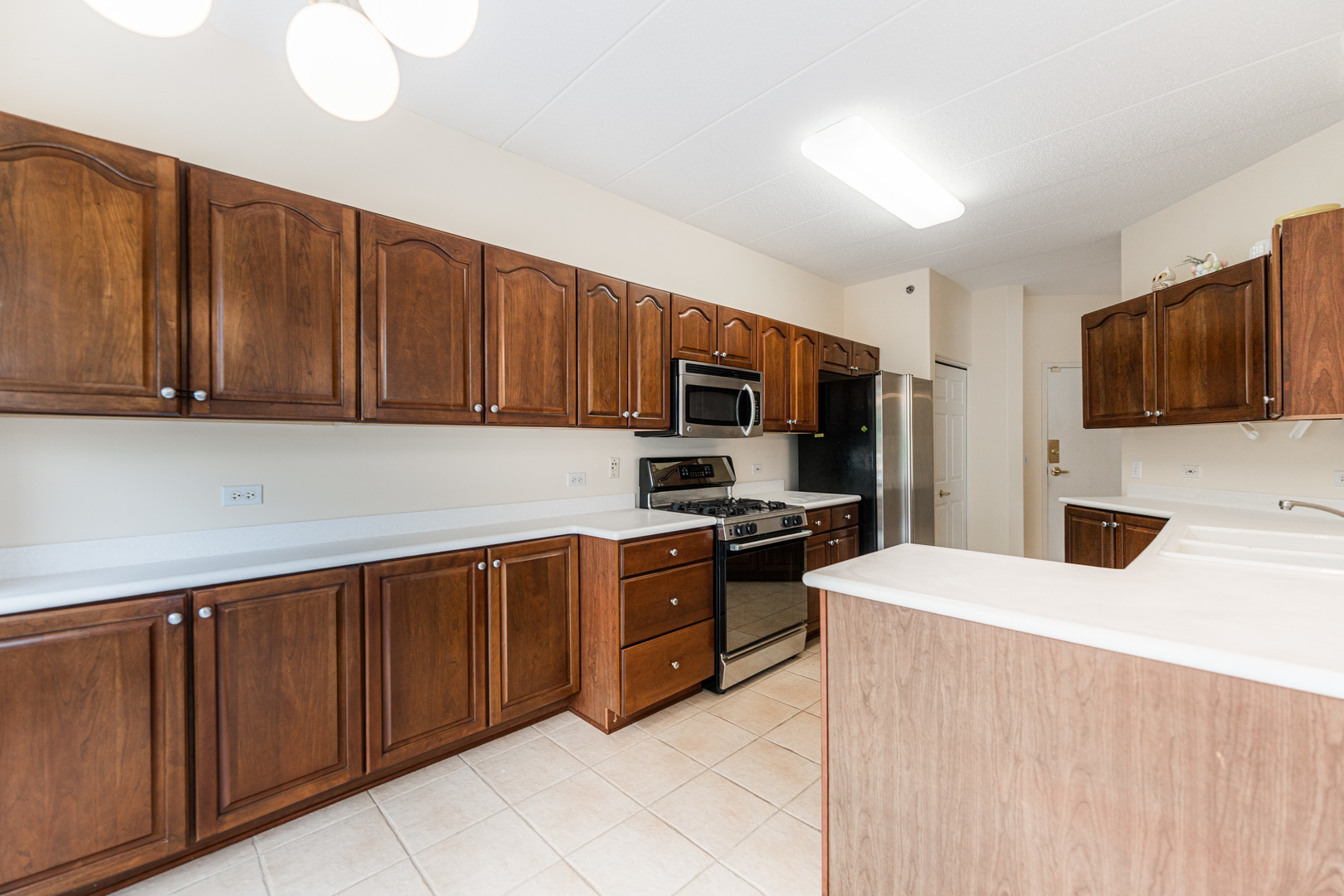 541 N Hough Street 102