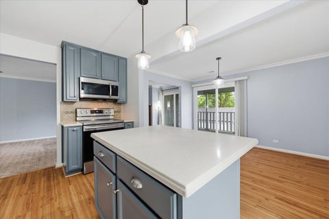 Tiny photo for Wheaton, IL 60189 (MLS # 12763442)
