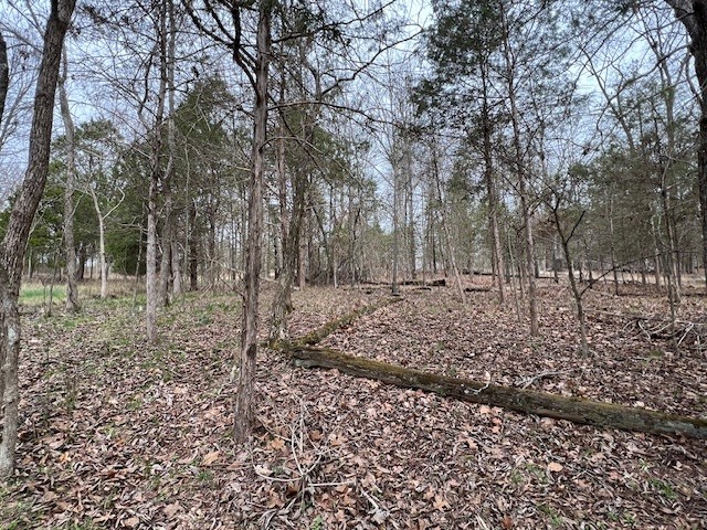 Lot 1234 Indian Camp Drive