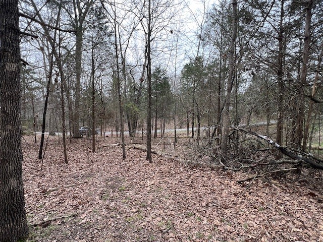 Lot 1234 Indian Camp Drive
