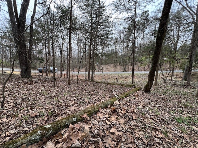 Lot 1234 Indian Camp Drive