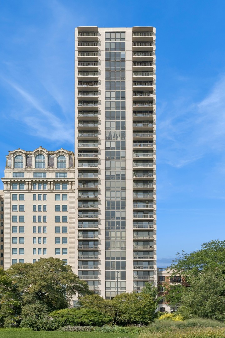2314 N LINCOLN PARK WEST 11S