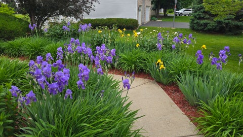 Tiny photo for 11819 Wolf Creek Lane, Plainfield, IL 60585 (MLS # 12731001)