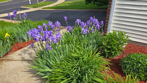 Tiny photo for 11819 Wolf Creek Lane, Plainfield, IL 60585 (MLS # 12731001)