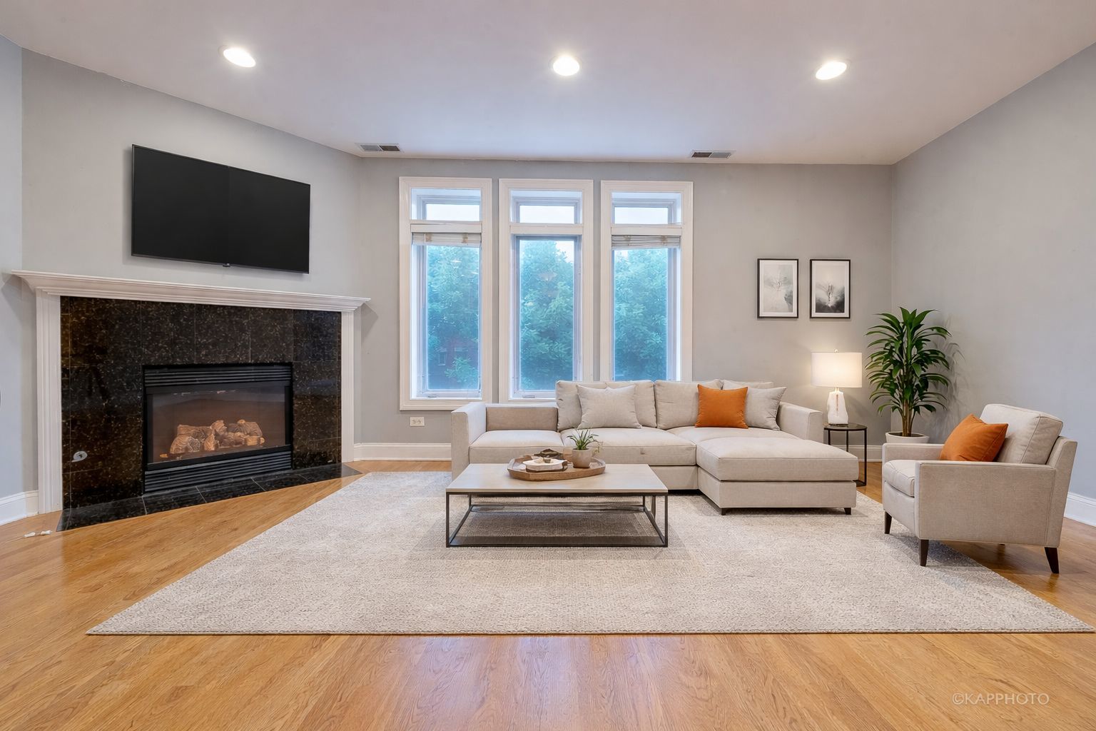 1345 W Fillmore Street 3