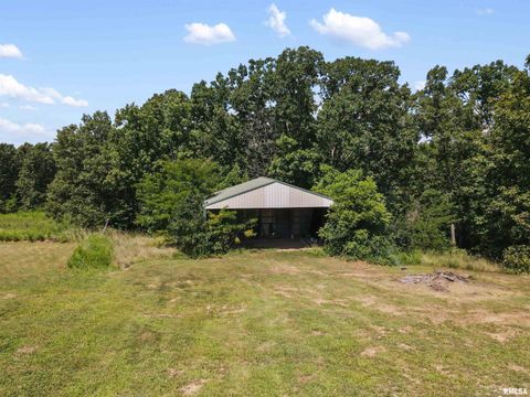 Tiny photo for 9855 N Route 37 Highway, Goreville, IL 62939 (MLS # EB459288)