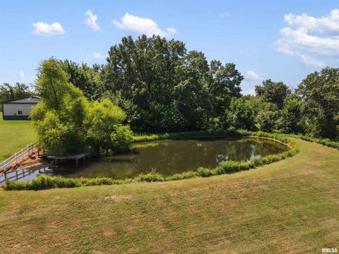 Tiny photo for 9855 N Route 37 Highway, Goreville, IL 62939 (MLS # EB459288)