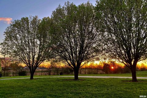 Tiny photo for 9855 N Route 37 Highway, Goreville, IL 62939 (MLS # EB459288)