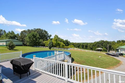 Tiny photo for 9855 N Route 37 Highway, Goreville, IL 62939 (MLS # EB459288)