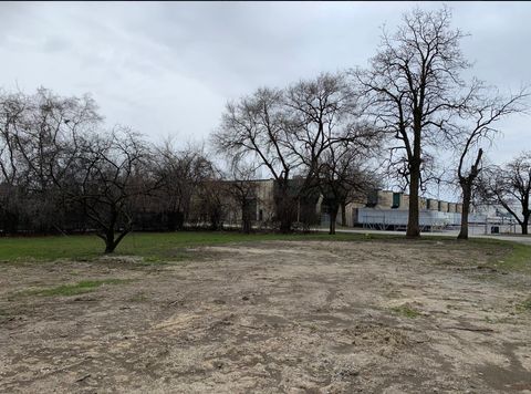 1113 171st Street East Hazel Crest IL 60429