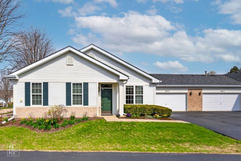 16501 Buckner Pond Way 16501 Crest Hill IL 60403