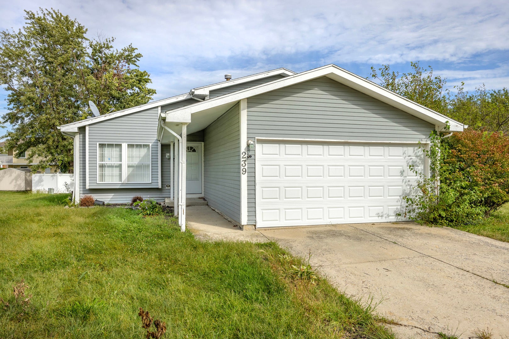 239 Willow Road
