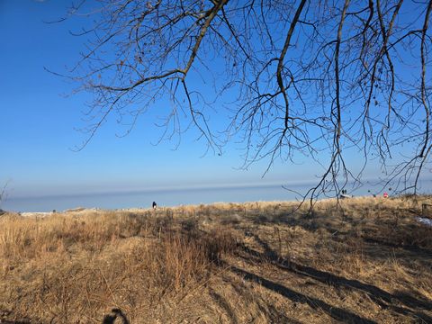 Tiny photo for Chicago, IL 60626 (MLS # 12603931)