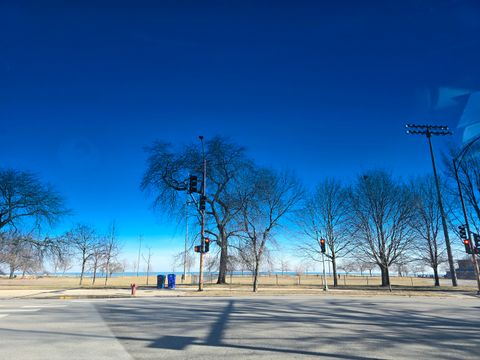 Tiny photo for Chicago, IL 60626 (MLS # 12603931)