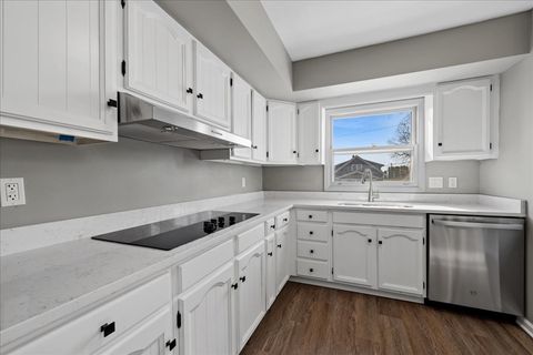 Tiny photo for 203 Clark Street, Monroe Center, IL 61052 (MLS # 12606324)