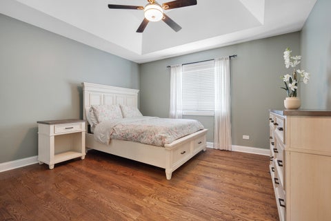 Tiny photo for 22232 Elise Boulevard, Frankfort, IL 60423 (MLS # 12735394)