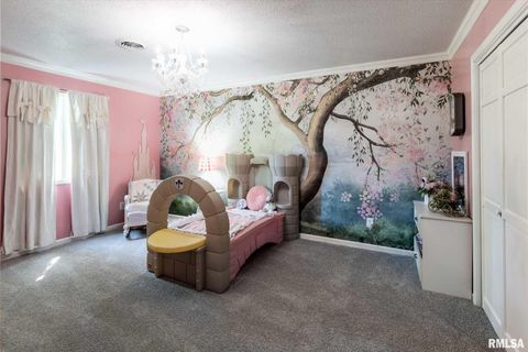 Tiny photo for 1203 ABBEY Lane, Marion, IL 62959 (MLS # QC4262903)