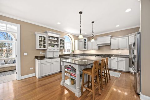 Tiny photo for 4023 Juneberry Road, Naperville, IL 60564 (MLS # 12561763)