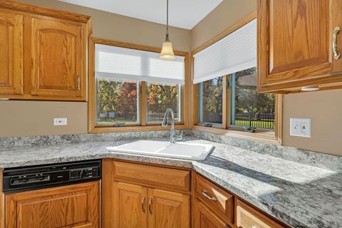 Tiny photo for 24605 S River Trail, Channahon, IL 60410 (MLS # 12507219)