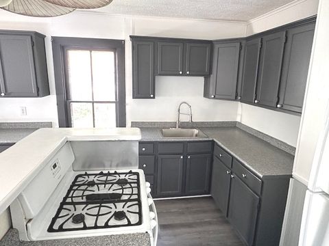 Tiny photo for 431 N Crystal Street, Elgin, IL 60123 (MLS # 12460121)