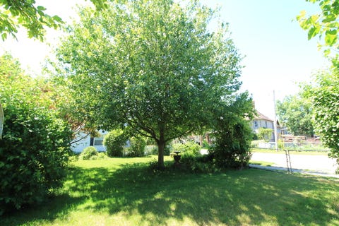 Tiny photo for 712 E Hurlbut Avenue, Belvidere, IL 61008 (MLS # 12677113)