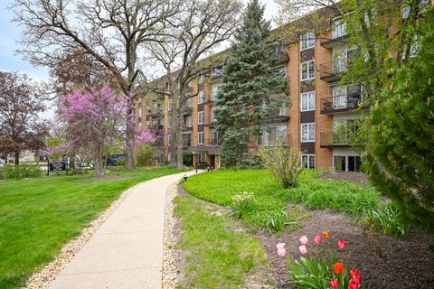 441 Park Boulevard 3I Glen Ellyn IL 60137