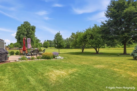 Tiny photo for 1806 Doolin Avenue, McHenry, IL 60050 (MLS # 12716880)
