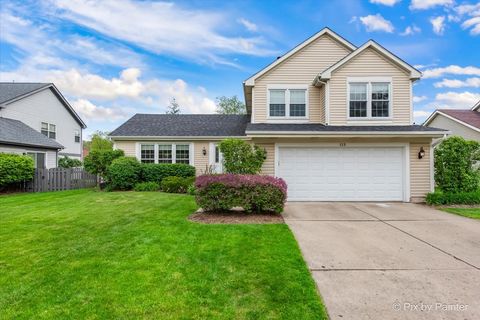 Tiny photo for 113 N Bristol Drive, Bloomingdale, IL 60108 (MLS # 12626627)