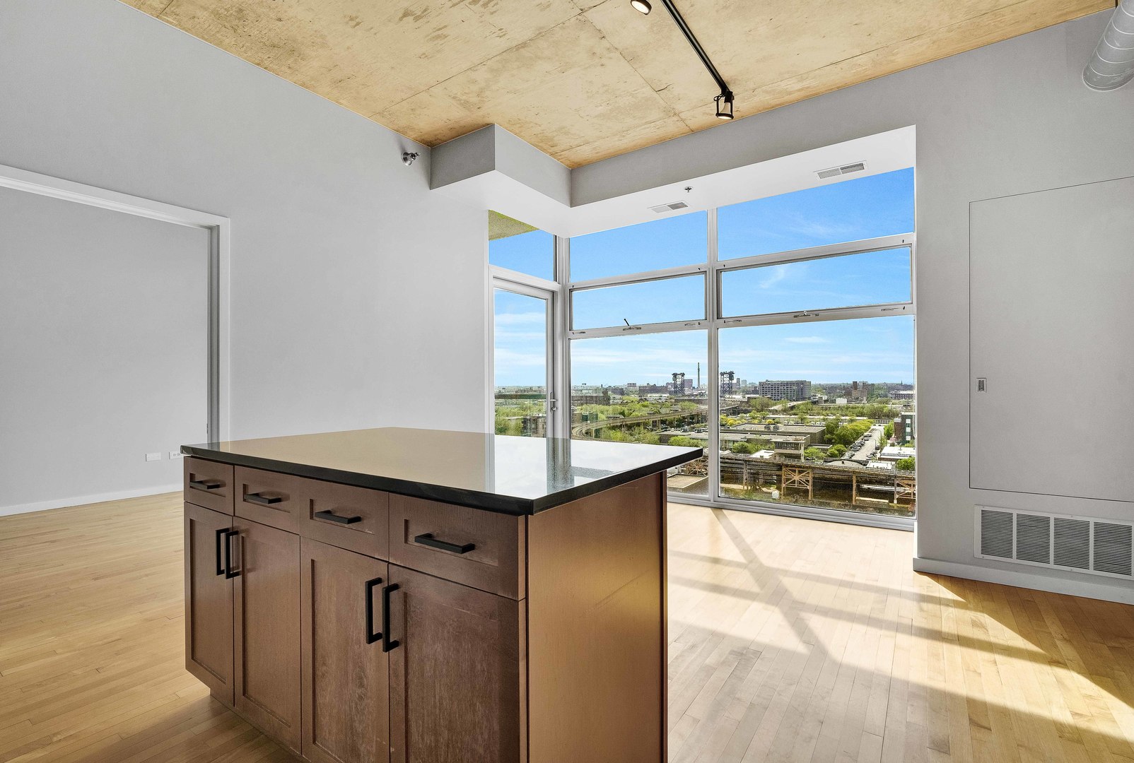 1620 S Michigan Avenue 1117