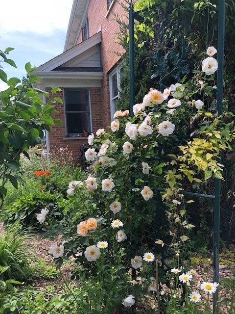 Tiny photo for 43W701 Willow Creek Drive, Elburn, IL 60119 (MLS # 12547125)