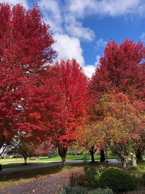 Tiny photo for 43W701 Willow Creek Drive, Elburn, IL 60119 (MLS # 12547125)