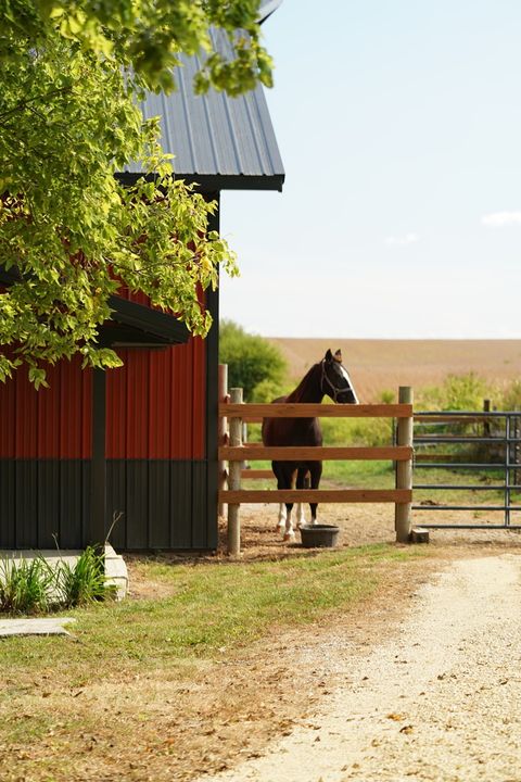 Tiny photo for 22524 Luther Road, Sterling, IL 61081 (MLS # 12479708)