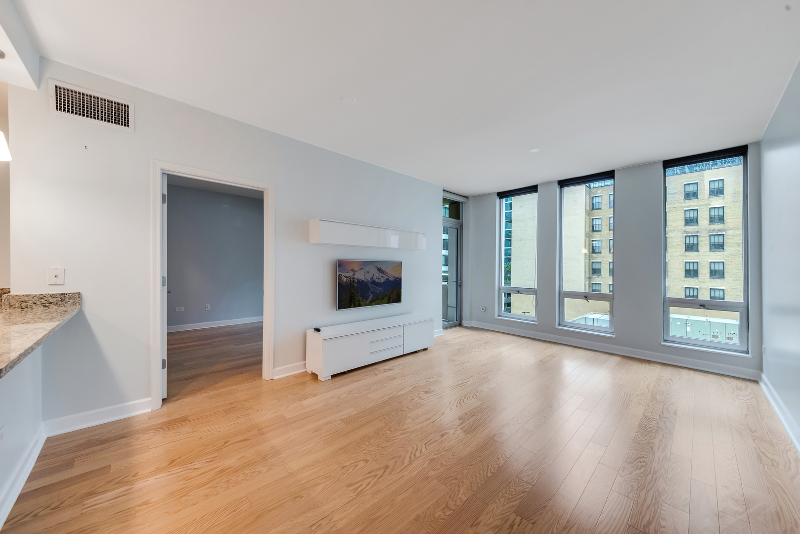 1400 S Michigan Avenue 507