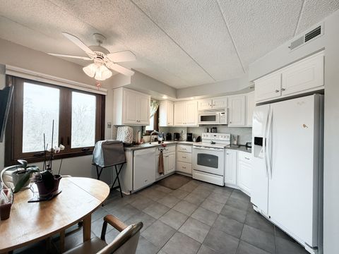 Tiny photo for 1660 E Thacker Street #1D, Des Plaines, IL 60016 (MLS # 12605389)