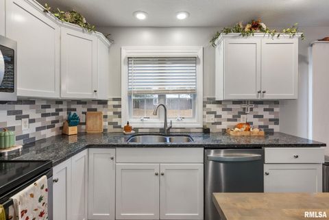 Tiny photo for 2723 E 58TH Street, Davenport, IA 52807 (MLS # QC4269529)