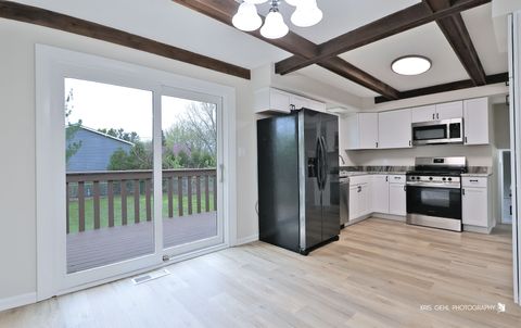 Tiny photo for 7503 Windsor Avenue, Spring Grove, IL 60081 (MLS # 12625853)