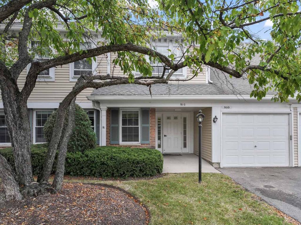 Photo for 910 Persimmon Lane #A, Mount Prospect, IL 60056 (MLS # 12504904)